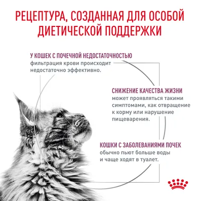 Ветеринарный влажный корм Royal Canin для кошек Лечение заболеваний почек Renal с говядиной в соусе 85 г