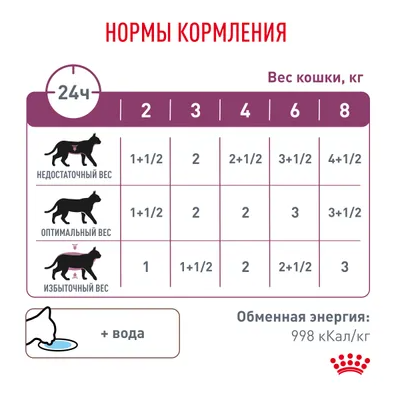 Ветеринарный влажный корм Royal Canin для кошек Лечение заболеваний почек Renal с говядиной в соусе 85 г