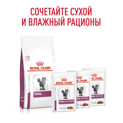 Ветеринарный влажный корм Royal Canin для кошек Лечение заболеваний почек Renal с говядиной в соусе 85 г