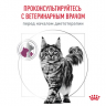 Ветеринарный влажный корм Royal Canin для кошек Лечение заболеваний почек Renal с говядиной в соусе 85 г