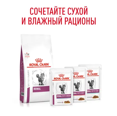 Ветеринарный влажный корм Royal Canin для кошек Лечение заболеваний почек Renal с курицей в соусе 85 г