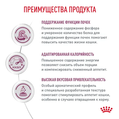 Ветеринарный влажный корм Royal Canin для кошек Лечение заболеваний почек Renal с курицей в соусе 85 г