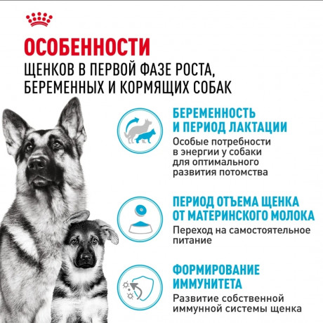 Корм Royal Canin для щенков крупных пород до 2х месяцев, беременных и кормящих собак Maxi Starter 15кг