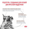 Ветеринарный корм Royal Canin для кошек Gastro Intestinal Hairball Control 400г