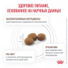 Ветеринарный корм Royal Canin для кошек Gastro Intestinal Hairball Control 400г