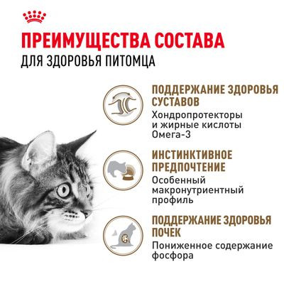 Влажный корм Royal Canin для кошек старше 12 лет Ageing 12+ в соусе 85 г
