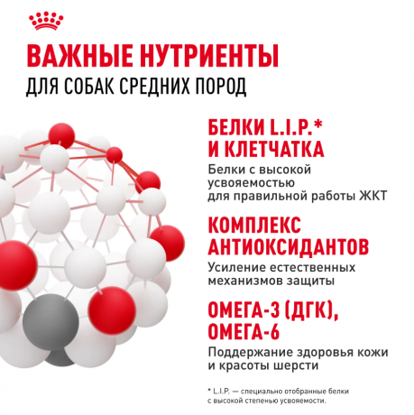 Влажный корм Royal Canin для взрослых собак средних пород в соусе Medium Adult 100 г