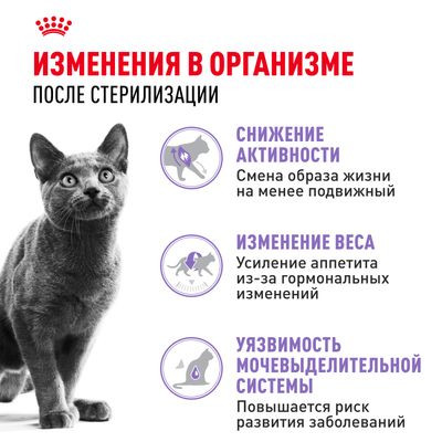 Корм Royal Canin для стерилизованных кошек Sterilised 37 4 кг
