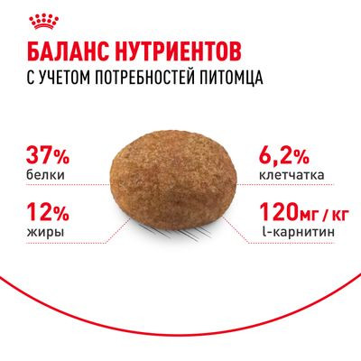Корм Royal Canin для стерилизованных кошек Sterilised 37 4 кг