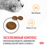 Корм Royal Canin для кошек для поддержания здоровья кожи и шерсти Hair&Skin 400 г