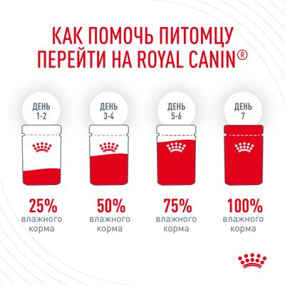 Влажный корм Royal Canin для кошек в желе для поддержания здоровья кожи и шерсти Hair&Skin 85 г