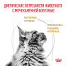 Ветеринарный корм Royal Canin для кошек "Лечение и профилактика МКБ" Urinary S/O LP34 3,5 кг