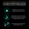 АКЦИЯ!!! Корм Purina Pro Plan Sterilised Renal  для стерилизованных кошек и кастрированных котов, с индейкой, 400 г + 200 г В ПОДАРОК!!!