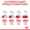 Корм Royal Canin для котят от 1 до 4 мес. Mother&Babycat 4кг