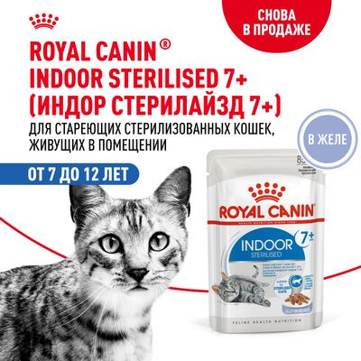 Влажный корм Royal Canin для стерилизованных кошек старше 7 лет Indoor Sterilised 7+ (желе) 85 г