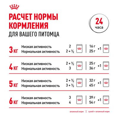 Влажный корм Royal Canin для стерилизованных кошек старше 7 лет Indoor Sterilised 7+ (желе) 85 г
