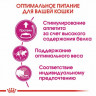 Корм Royal Canin для кошек привередливых к составу продукта Protein Exigent 2 кг