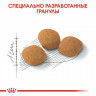 Корм Royal Canin для кошек привередливых к составу продукта Protein Exigent 2 кг