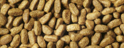 Корм Purina Pro Plan для кошек с избыточным весом, индейка, 1,5 кг
