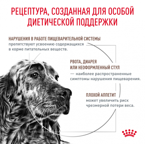 Ветеринарный корм Royal Canin для взрослых собак при расстройствах пищеварения Gastro Intestinal в паштете 85 г